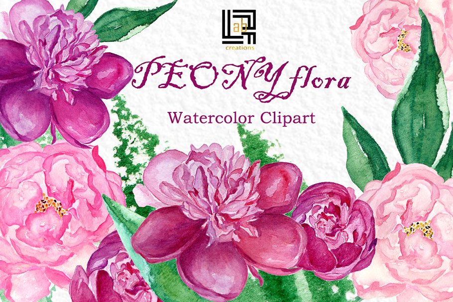 牡丹花丛水彩花卉剪贴画 Peony flora watercolor flowers插图