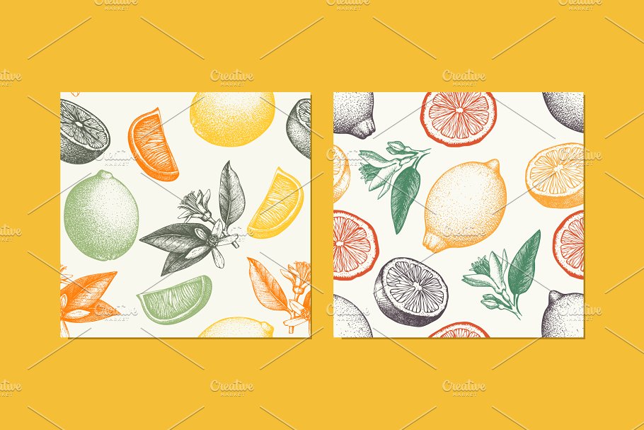 手绘素描柑橘类水果矢量无缝纹理 Vector Citrus Fruits Patterns Set插图1