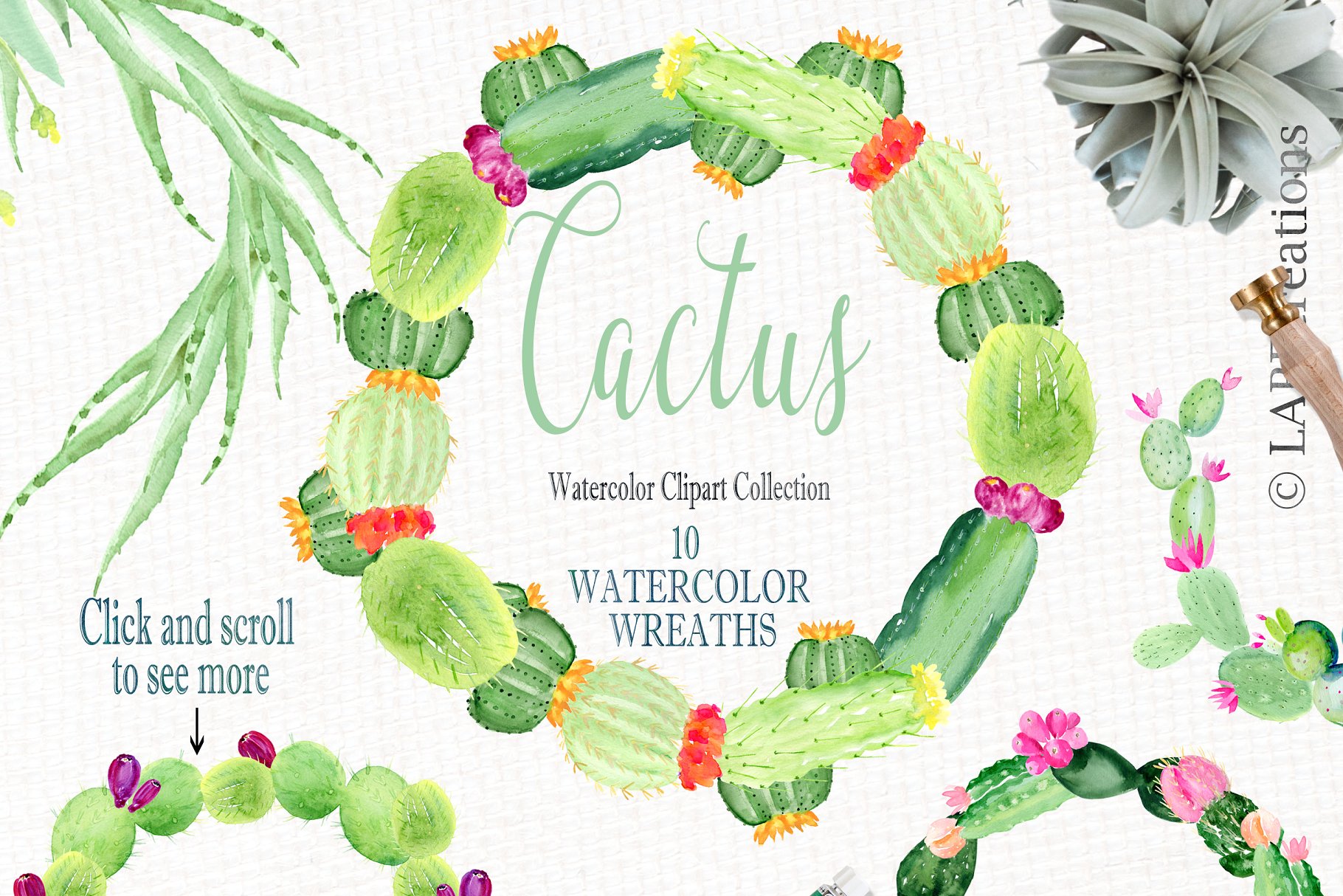 仙人掌水彩剪贴画合集 Cactus watercolr clipart collection插图(7)