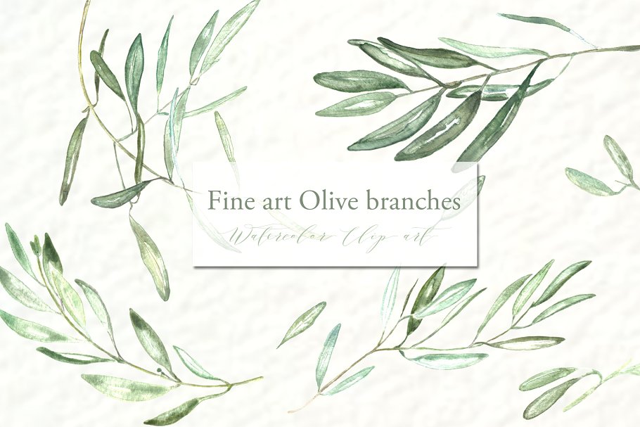 橄榄枝美术水彩剪贴画 Olive branches. Fine art Watercolor插图