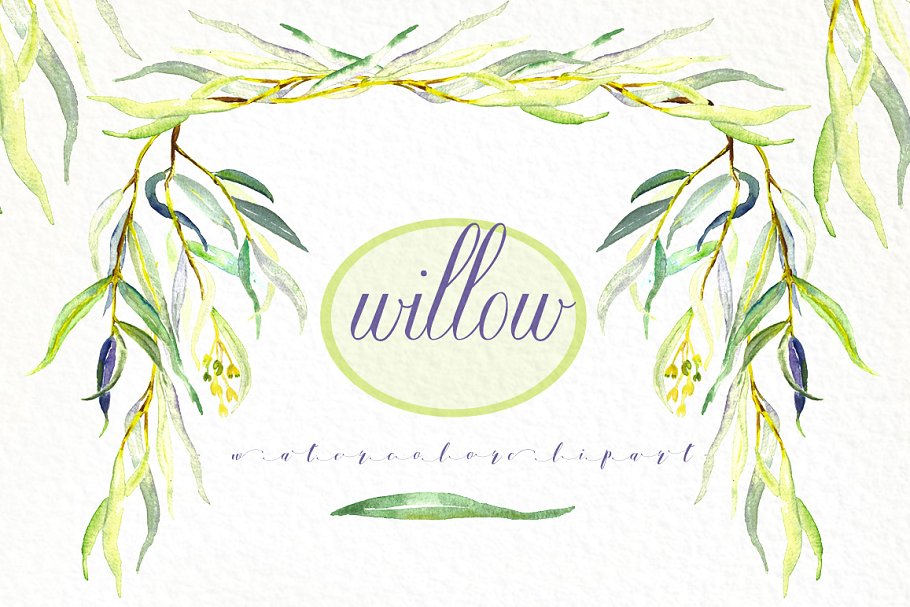 柳枝水彩剪贴画 Willow branches watercolor clipart插图2