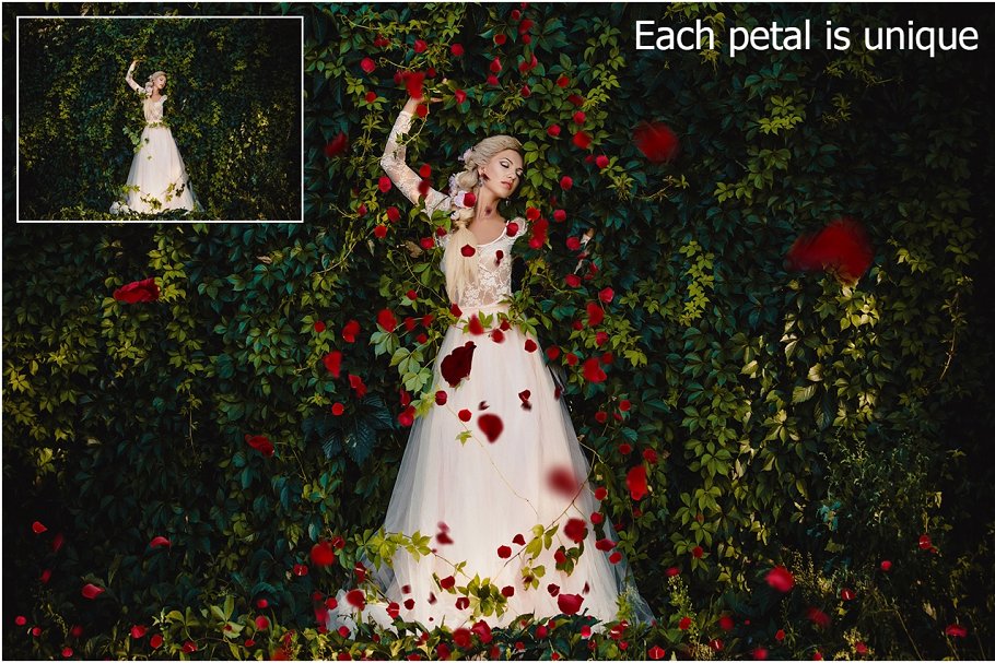 5K高清分辨率红色玫瑰花瓣叠层背景 5K Red Rose Petals Overlays插图1