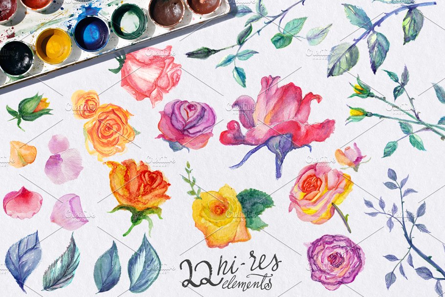 水彩玫瑰花设计DIY套装 Watercolor Roses DIY pack 22elements插图(2)