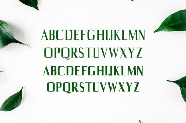 平面设计排版英文衬线字体套装 Axell Serif Font Family插图1