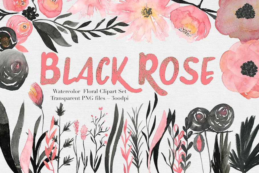 黑色&粉色水彩玫瑰花插画集 Black & Pink Rose Watercolor Set插图