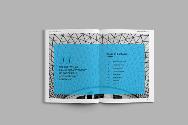 企业宣传册/画册/商业提案手册INDD设计模板 Company Profile 2020插图(2)