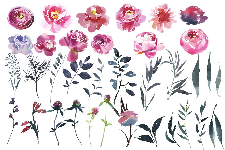 腮红和灰色水彩花卉插画 Blush & Gray Watercolor Flowers插图(2)