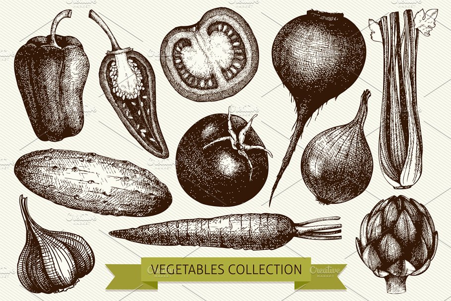 复古风格蔬菜插画素材 Vintage Vegetables Collection插图