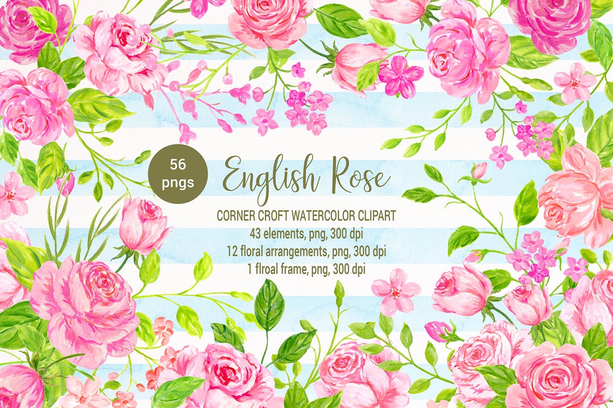 英国玫瑰水彩剪贴画素材 Watercolor Clipart English Rose插图