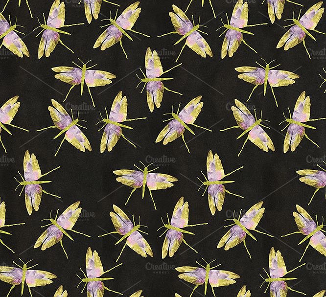 华丽彩虹金箔色蜻蜓鳞片图案纹理 Iridescent Insects & Backgrounds插图(5)