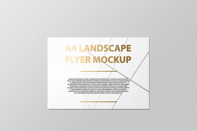 A4横向铝箔冲压工艺传单海报样机 A4 Landscape Flyer / Poster Mockup – Foil Stamping插图(2)