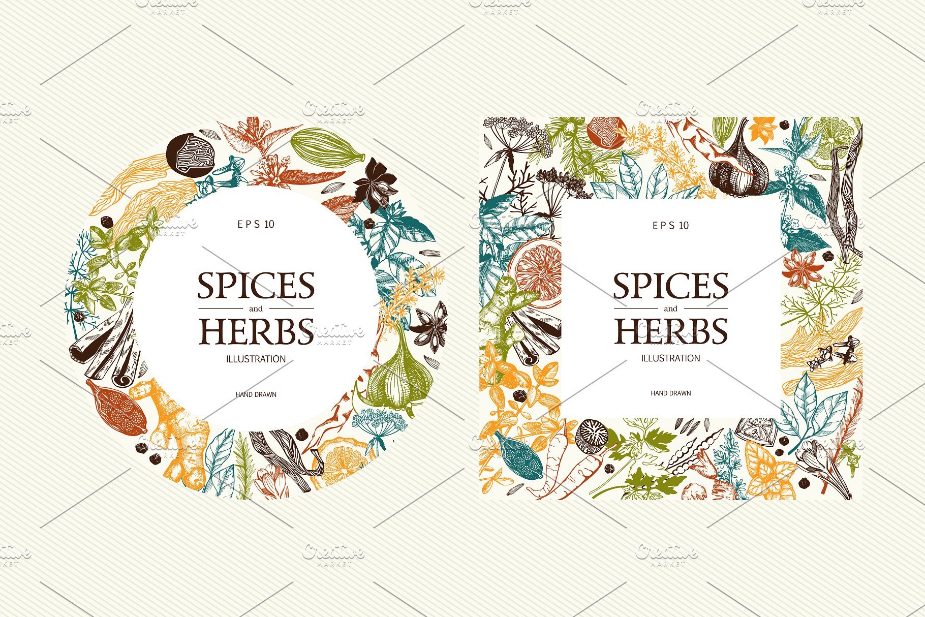 厨房香料及香草矢量插画 Vector Kitchen Spice & Herbs Set插图6