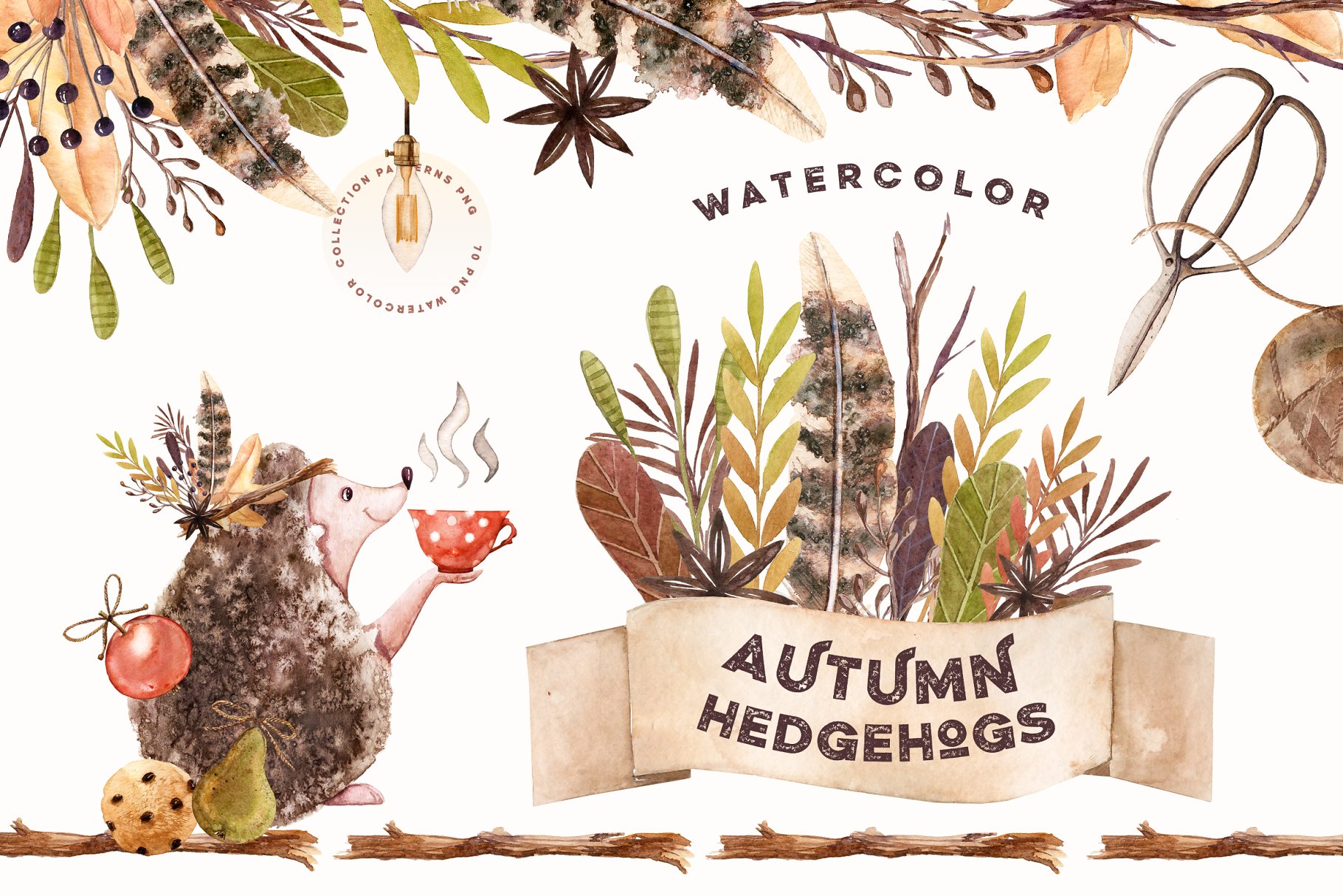 刺猬与秋天水彩素材集 Watercolor Autumn Hedgehogs插图