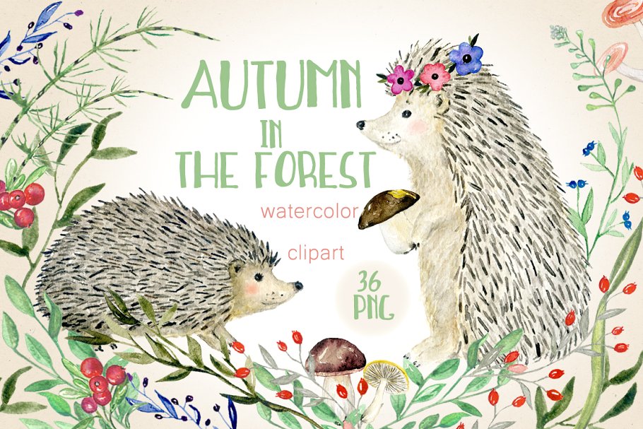 “秋天与刺猬的故事”水彩剪贴画 Autumn in the forest. Hedgehogs插图