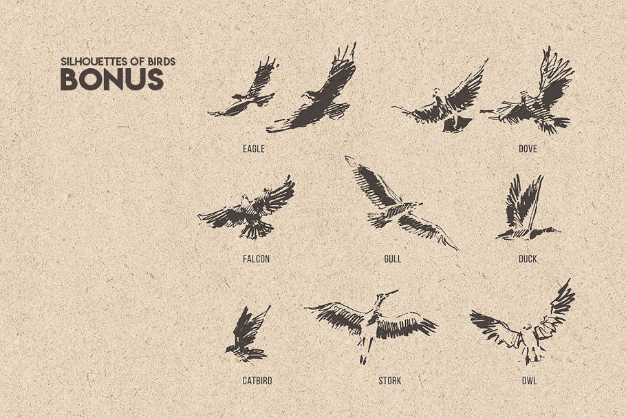 鸟群素描设计素材 Flocks of birds, sketch style插图4