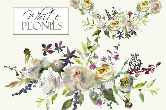 白色水彩花卉剪贴画 Watercolor White Flowers Clipart插图(14)