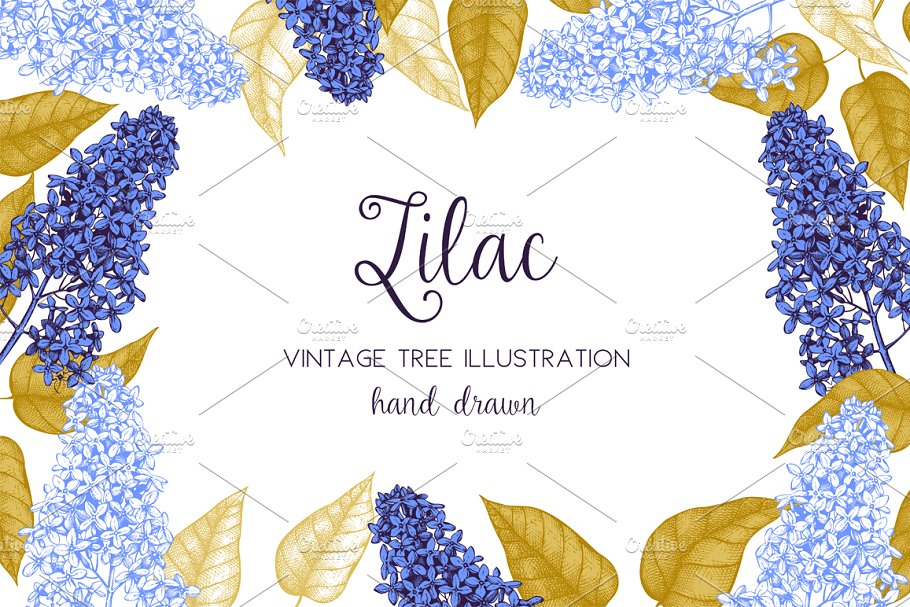 矢量淡紫色植物花卉插图集 Vector Lilac Illustrations Set插图