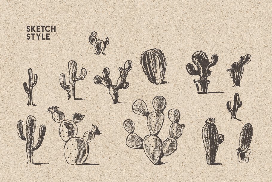 仙人掌素描风格设计素材 Big cacti bundle, sketch style插图4
