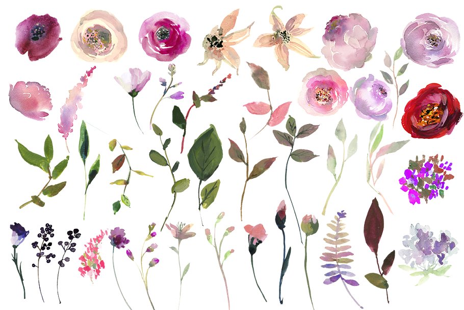 粉色紫色水彩花卉剪贴画合集 Pink Purple Watercolor Flowers Set插图(2)