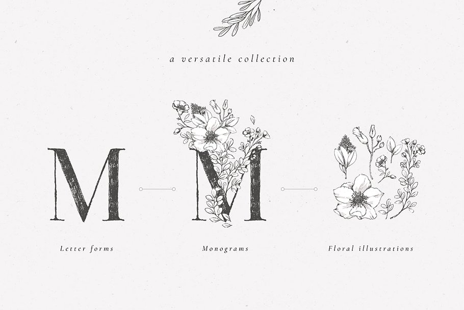 乡土气息植物、手绘字体&花卉字体 Botanical Illustrations & Monograms插图(1)