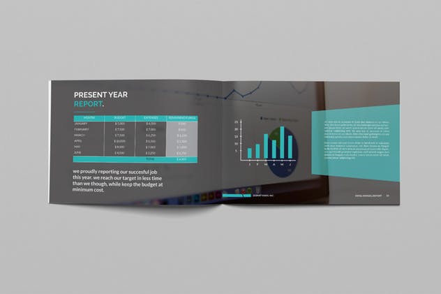 部门/企业/行业年终报告画册设计模板 Annual Report插图7