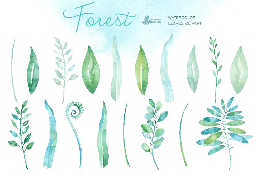 森林水彩树叶素材 Forest watercolor leaves插图1