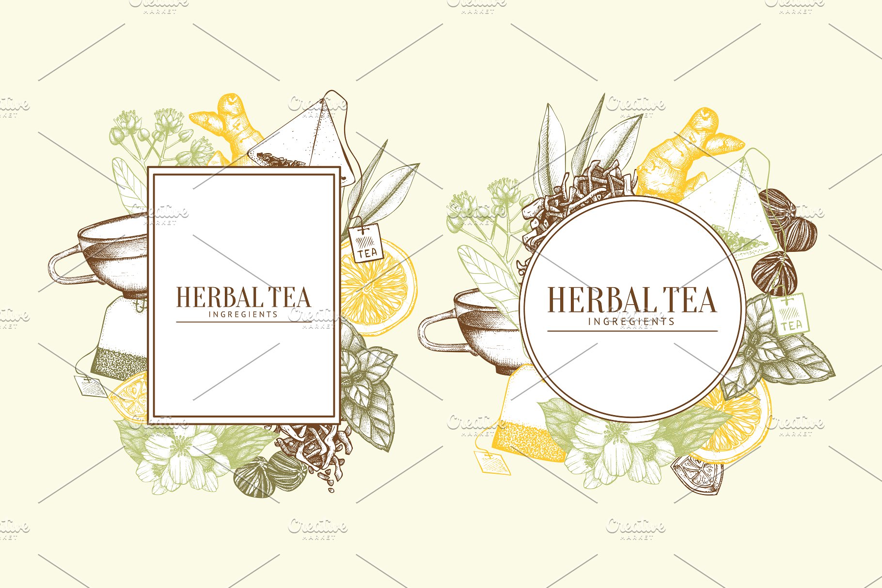 老式凉茶草药成分矢量插图合集 Vector Herbal Tea Ingredients Set插图1