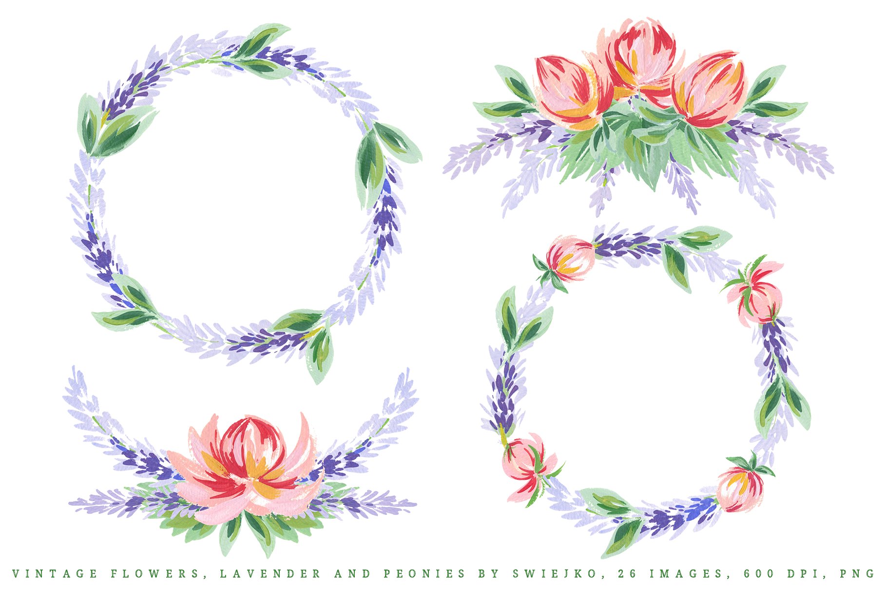 古典手绘牡丹薰衣草插画素材 Lavender & Peonies, vintage flowers插图(2)