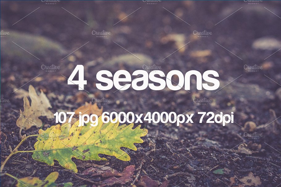 一年四季特写镜头照片素材 4 seasons photo pack插图2