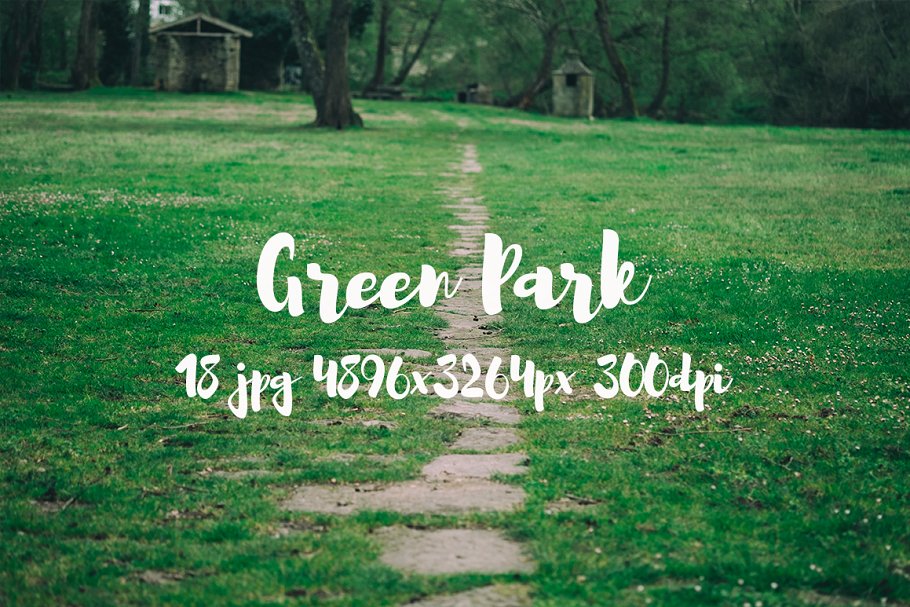 生机勃勃的公园景象高清照片素材 Green Park bundle插图2