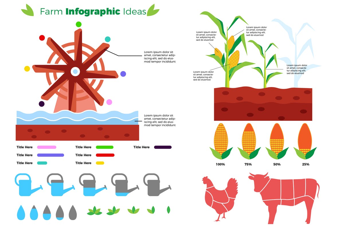 农场可视化数据信息图表设计素材 Farm – Infographic插图