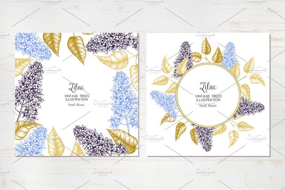 矢量淡紫色植物花卉插图集 Vector Lilac Illustrations Set插图(2)