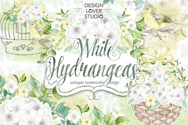 白色绣球花水彩插图设计素材 Watercolor White Hydrangeas design插图(1)