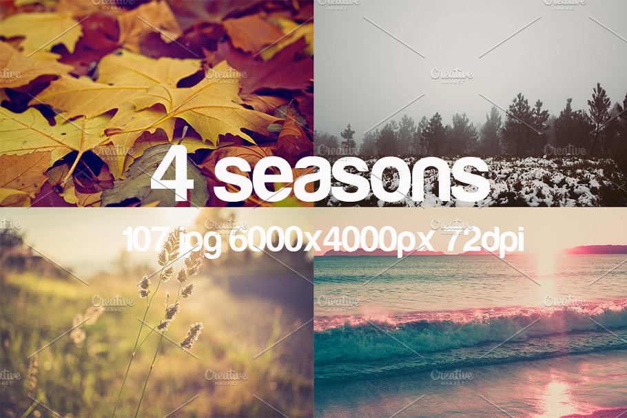 一年四季特写镜头照片素材 4 seasons photo pack插图