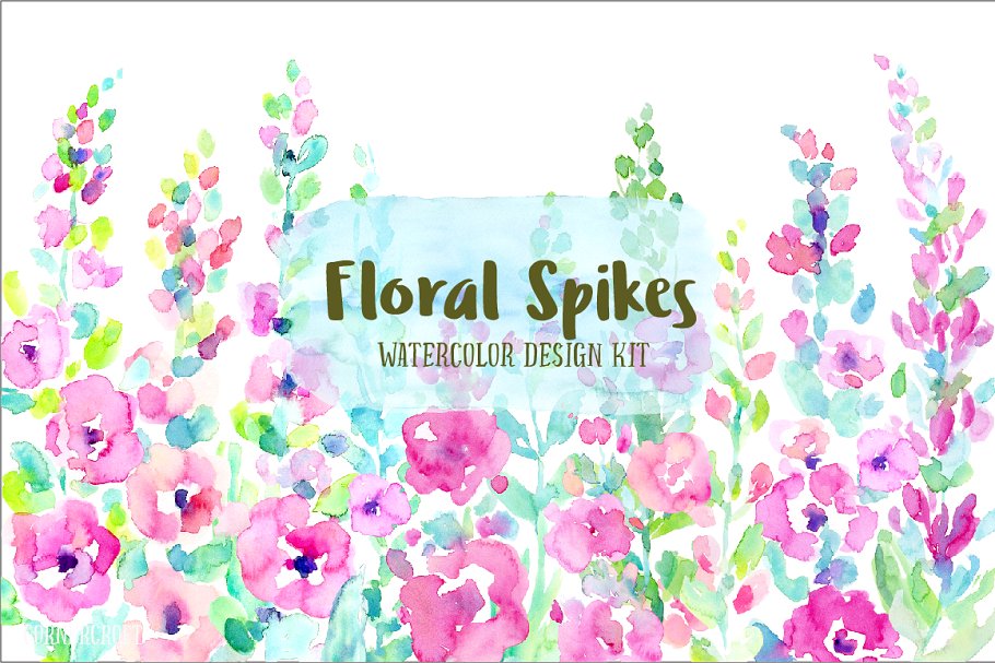 水彩花卉插画设计套件 Watercolor Design Kit Floral Spikes插图(1)