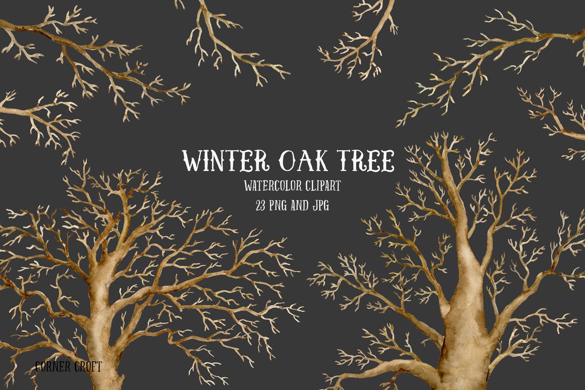 冬季橡树水彩剪贴画合集 Watercolor Clip Art Winter Oak Tree插图