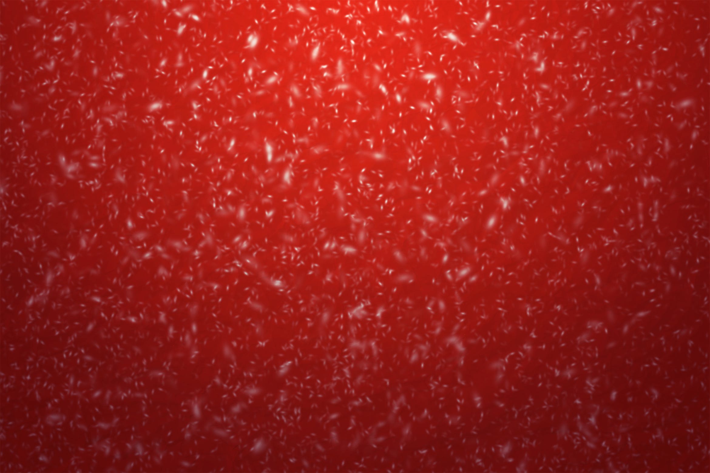 4张高分辨率圣诞节雪花纷飞背景图素材 Snowy christmas background插图