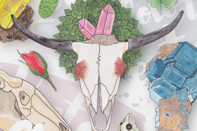 生物系列水彩手绘插画合集Vol.1 Watercolor Creatures vol. 1插图5