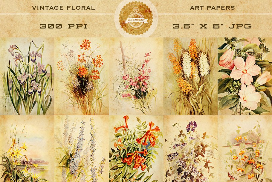 古典花卉艺术贴纸纸张 Vintage Floral Art Papers插图(1)