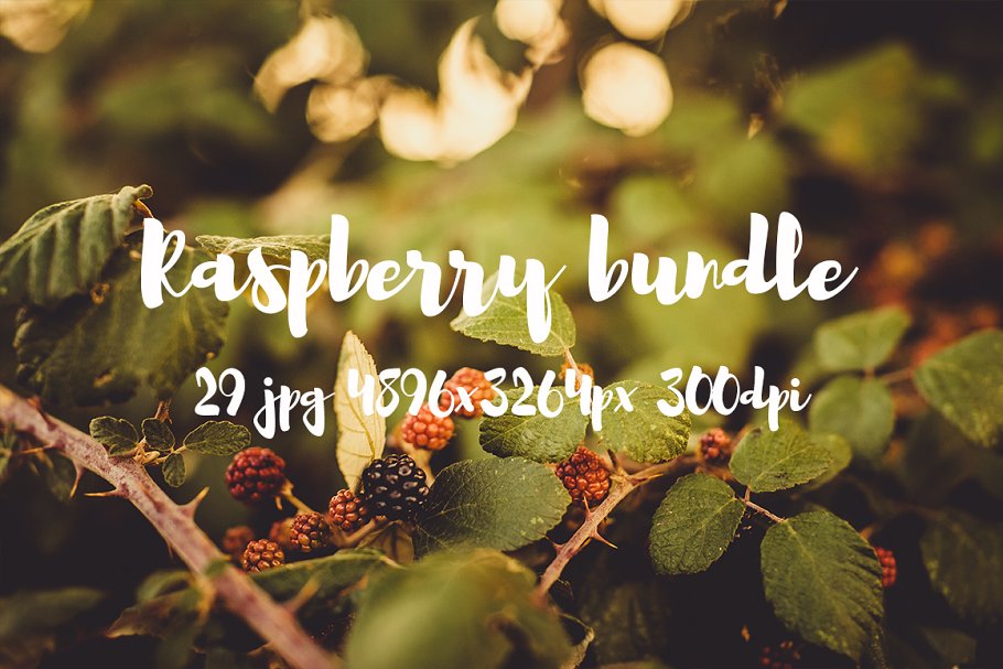 清新自然树莓高清图片素材 Raspberry photo pack插图11