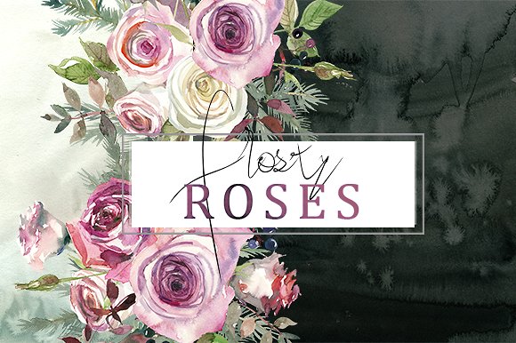 霜白玫瑰花水彩画设计素材 Frosty Roses Watercolor Flowers Set插图(6)