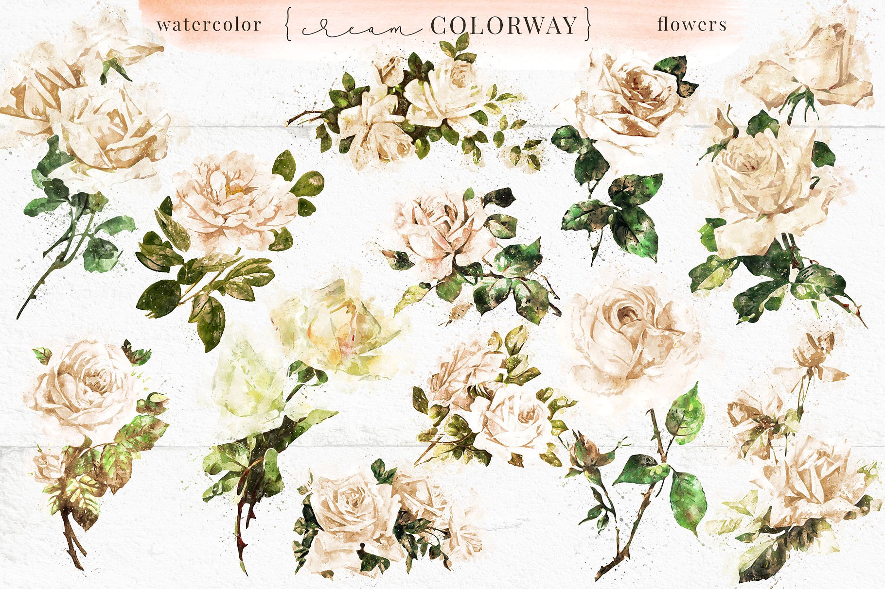 古典风格玫瑰/树叶/装饰字母/花环和花束剪贴画合集 Farmhouse Watercolor Flowers插图9