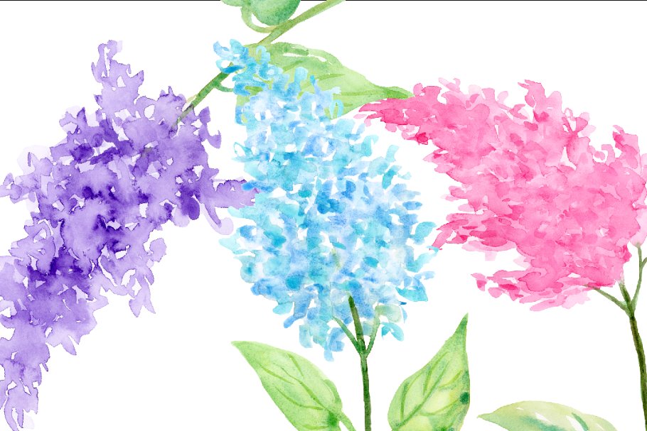 水彩丁香花剪贴画素材 Watercolor Lilac Flowers插图2