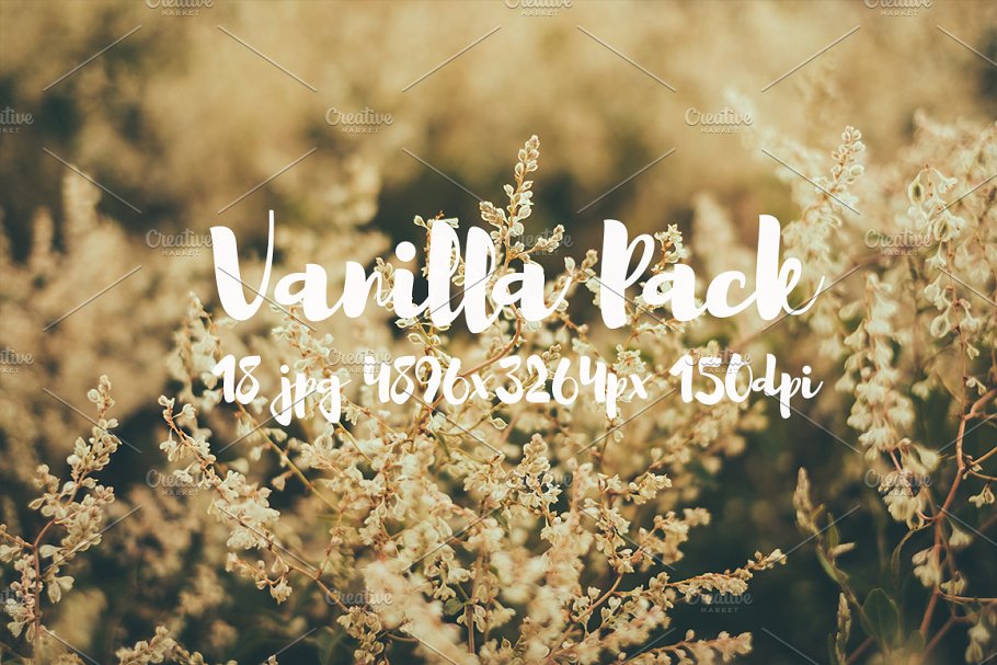 香草花卉近照高清照片素材 Vanilla photo Pack插图(9)
