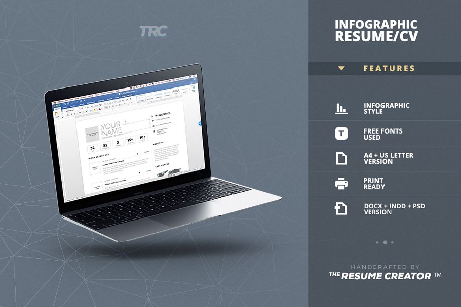 信息图表类型简历模板 Infographic Resume/Cv Template Vol.6插图(4)