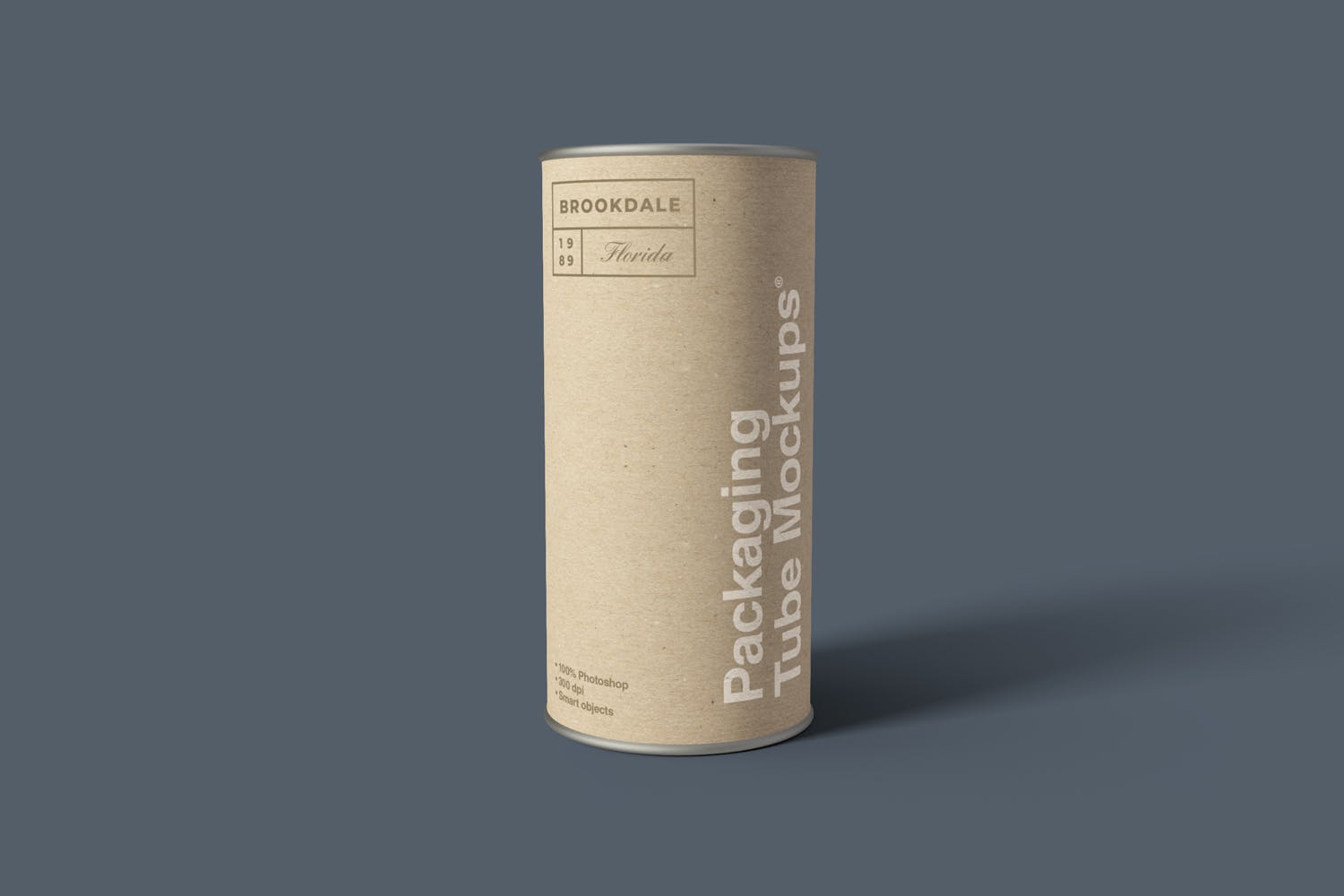 牛皮纸圆筒包装盒圆罐包装外观设计样机模板 Packaging Tube Mockups插图(6)