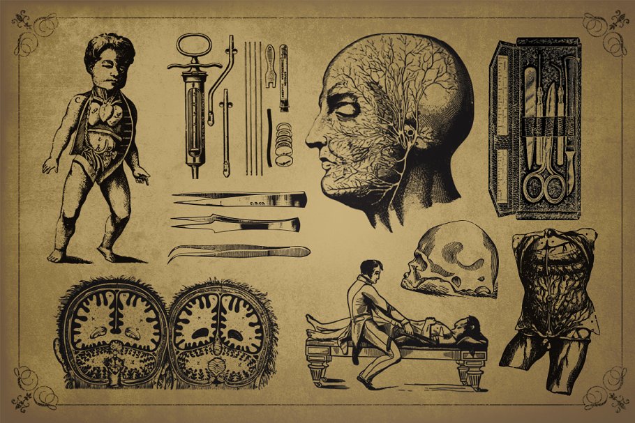 旧时代解剖医学插图素材 Medical Art | 110 EPS, PNG and JPG’s插图3