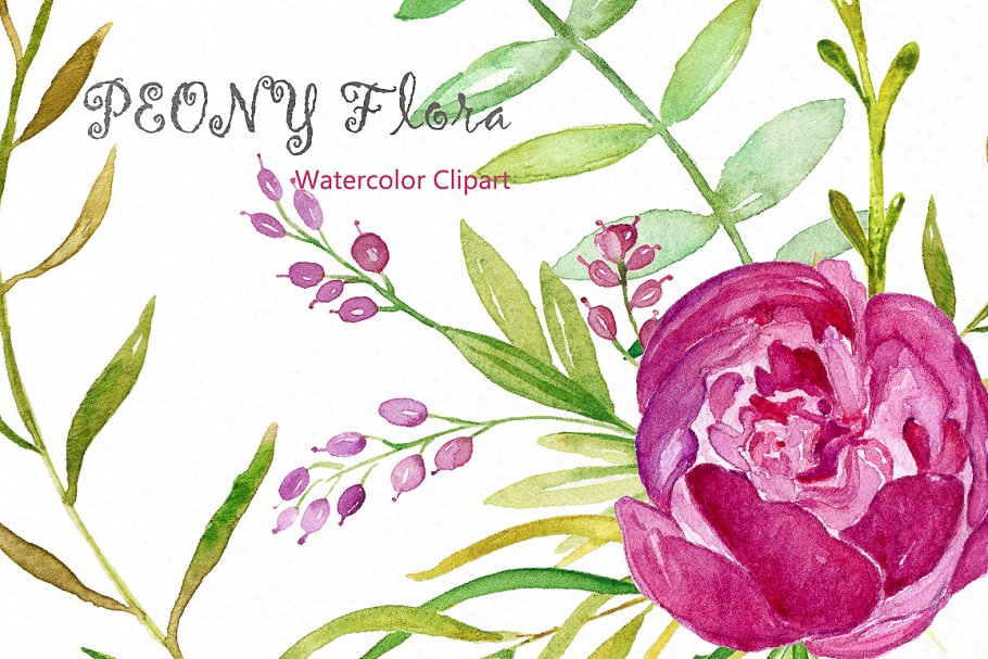 牡丹花丛水彩花卉剪贴画 Peony flora watercolor flowers插图(5)