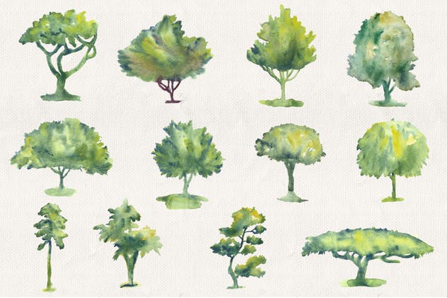 44款水彩手绘树木艺术插画 Collection of 44 Watercolor Trees插图(2)