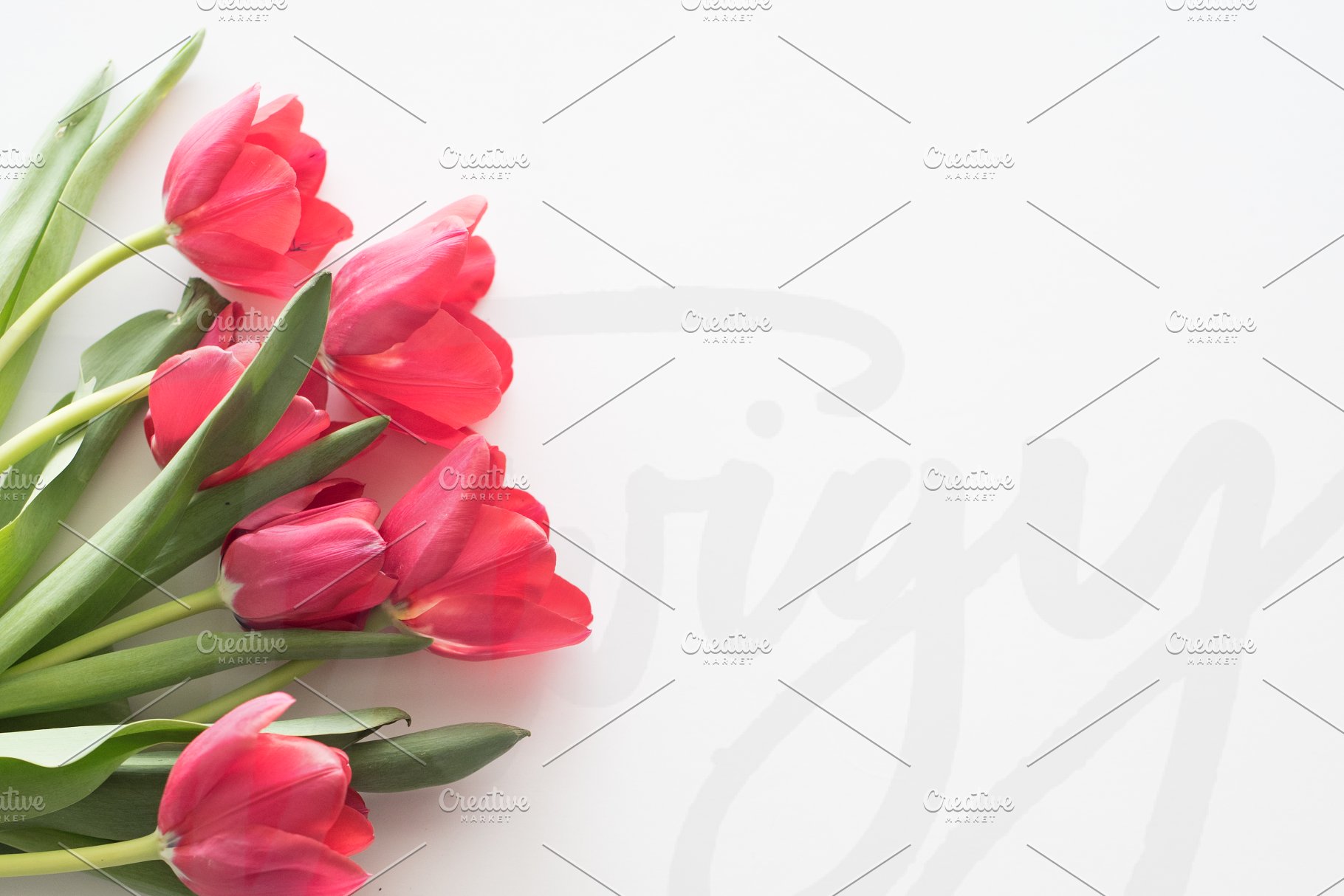 8款花卉装饰场景背景图片 Stock Photos | 8 Floral Images插图2